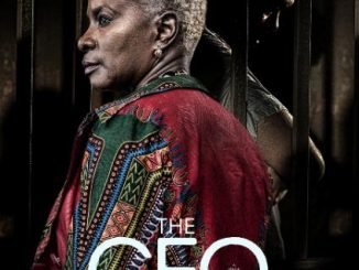 The CEO (2016)