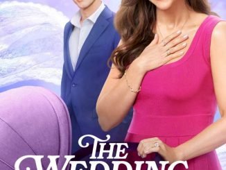 The Wedding Veil Expectations