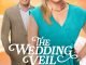 The Wedding Veil Journey
