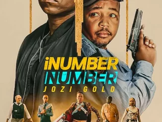 iNumber Number: Jozi Gold