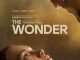 The Wonder