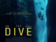 The Dive