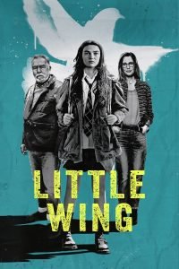 little-wing-hollywood-movie-200x300