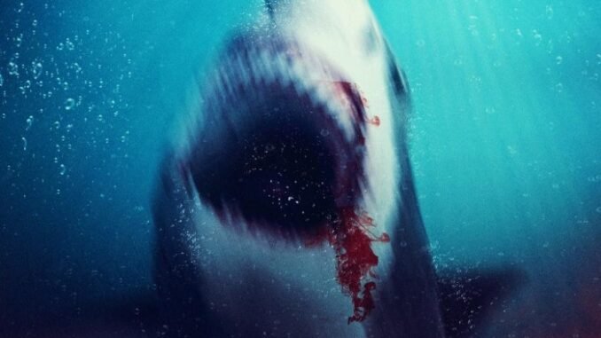 Bull-Shark-2_Poster