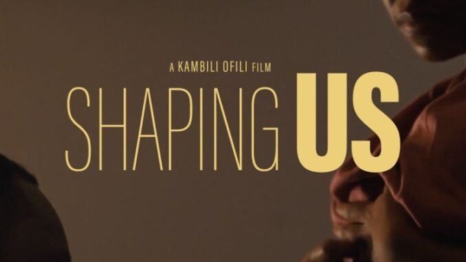 Shaping-Us_Poster