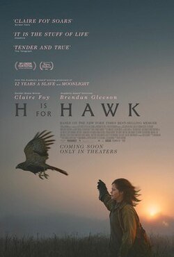 H_is_for_Hawk_poster