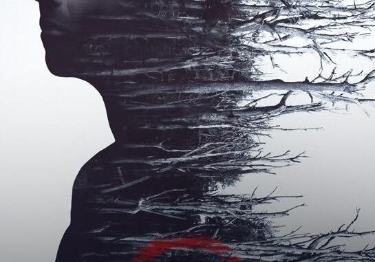 MV5BMTA1MWUxNDItYzcxNC00NDZmLWFiZGUtYTMyYzdkMjc5NjA2XkEyXkFqcGc@._V1_Ratio0.6751_AL_